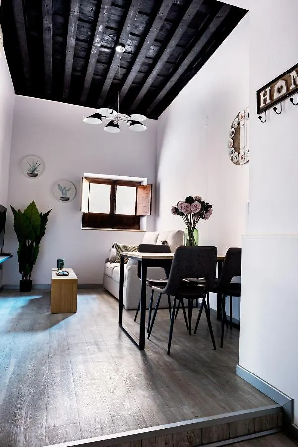 A Dream In Toledo Apartment